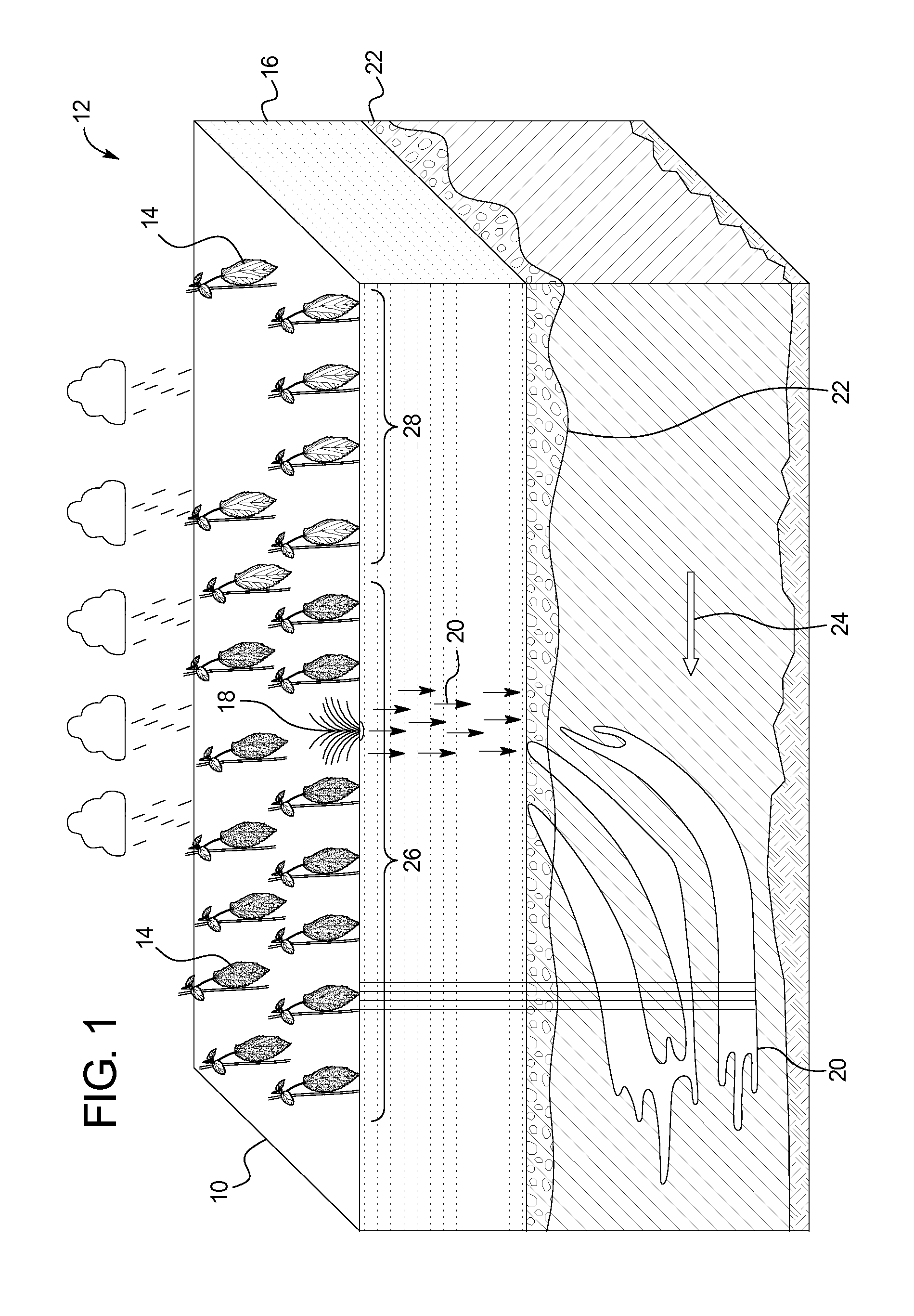 Rdx plant indicator system