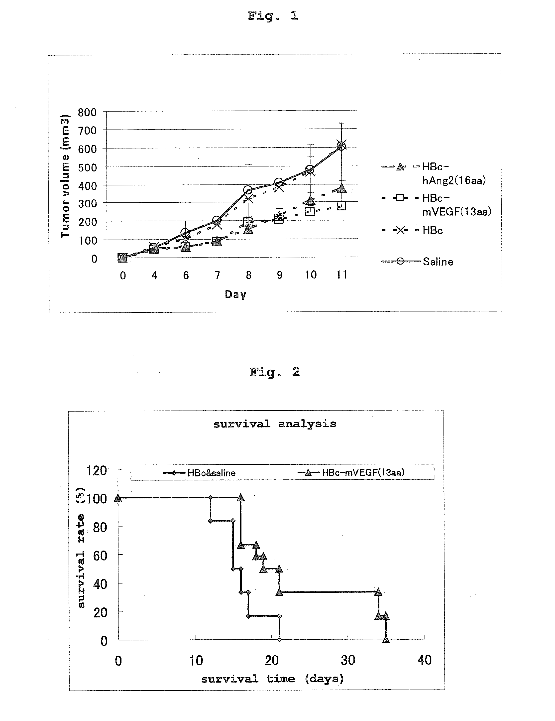 DNA vaccine containing vegf-specific epitope and/or angiopoietin-2-specific epitope