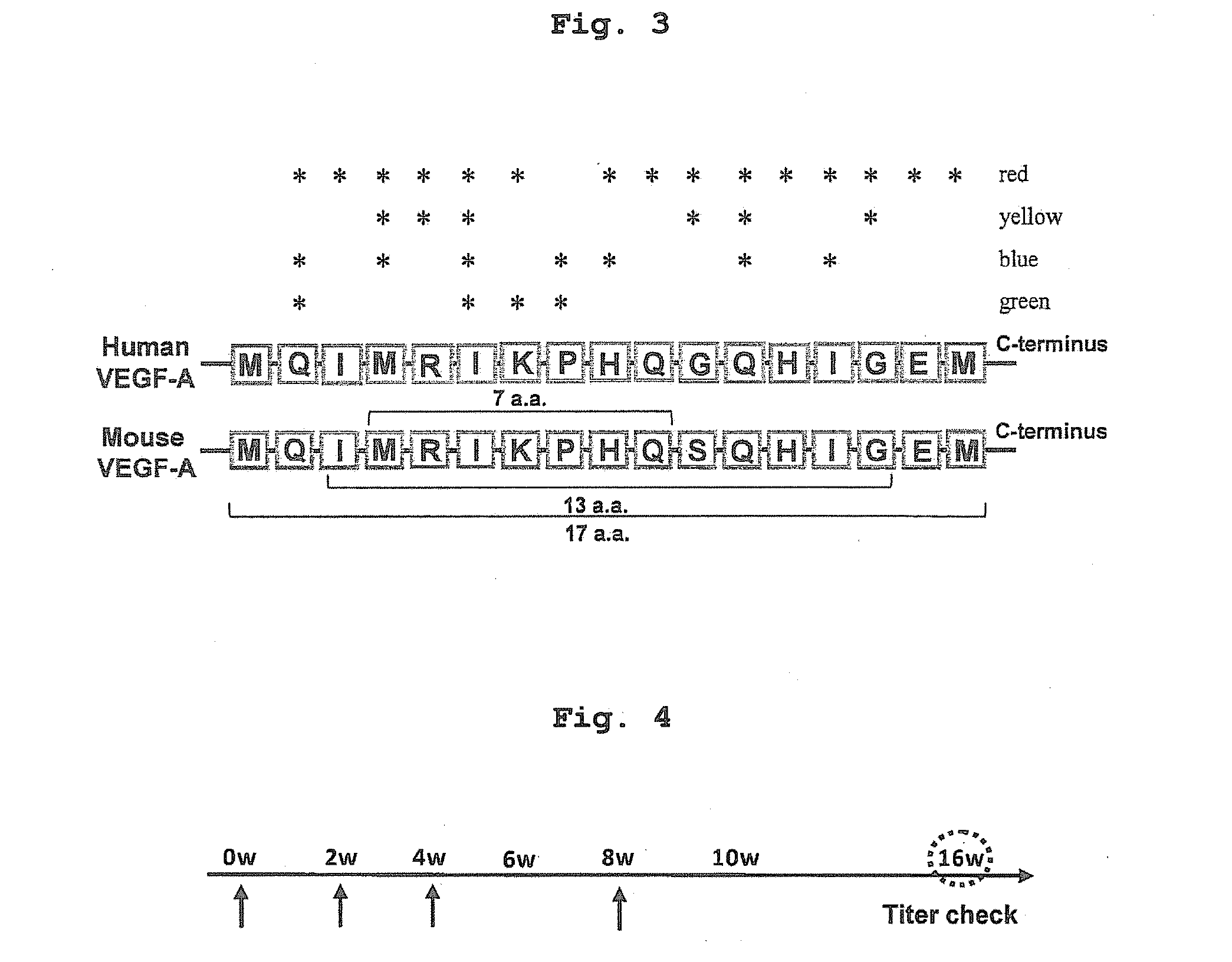 DNA vaccine containing vegf-specific epitope and/or angiopoietin-2-specific epitope