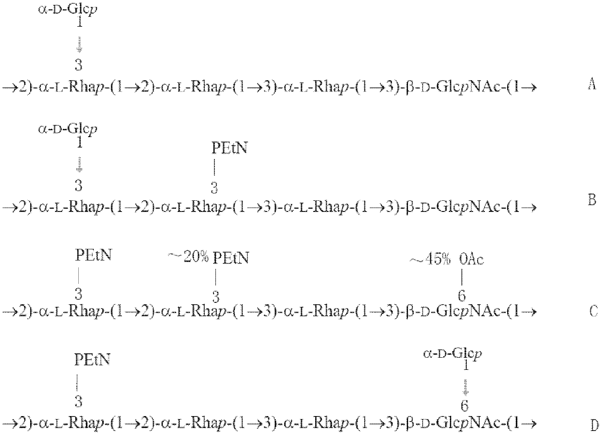 Detection reagent for Shigella flexneri plasmid-carried gene Ipt-O and application thereof