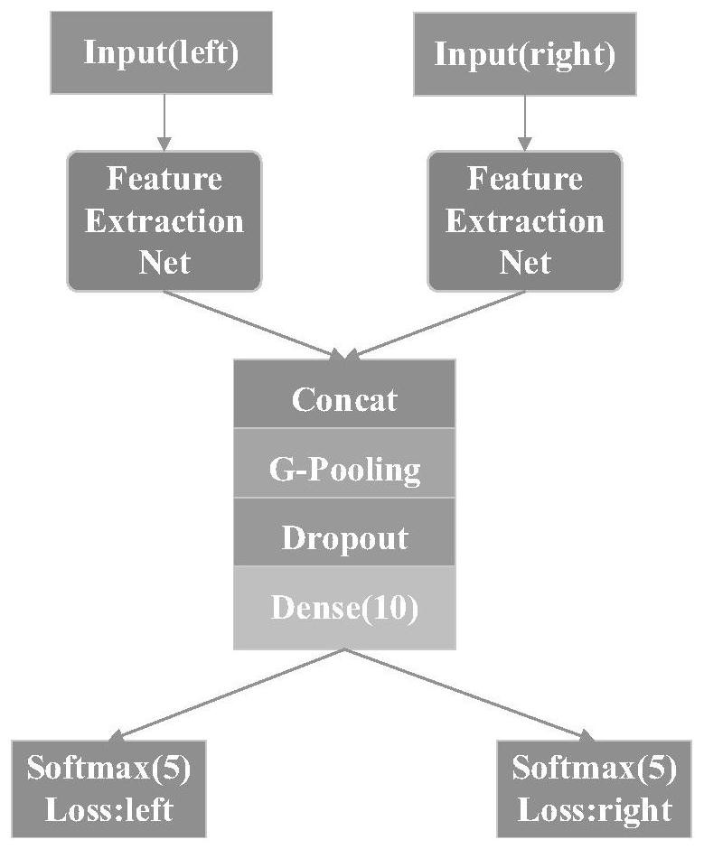 A method and device for identifying diabetes mellitus disease with fusion of binocular features