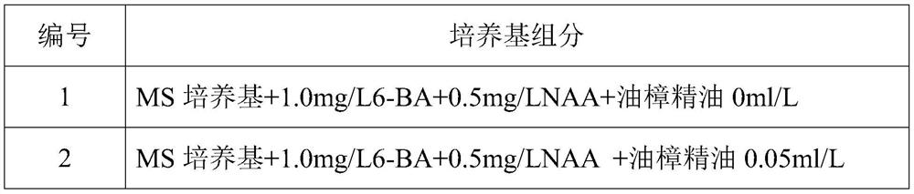 Method for inducing pinellia ternate callus and special culture medium of method