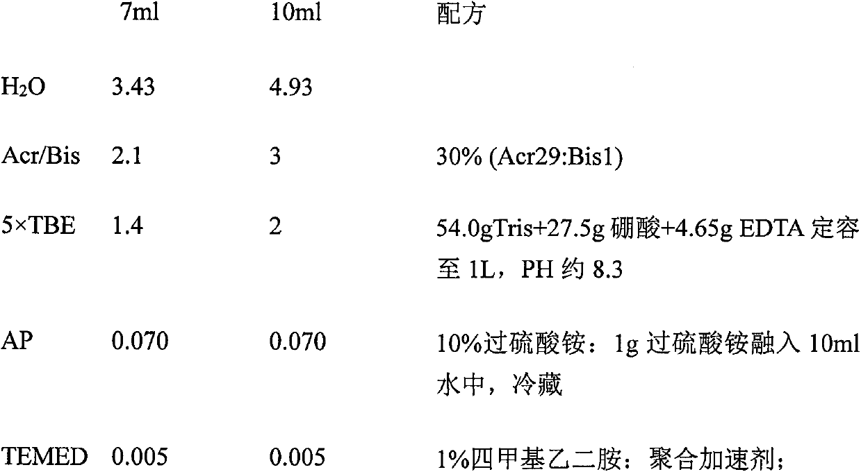 Preparation method and application of a genetic marker for high intramuscular fat content in Baicheng chicken leg muscle