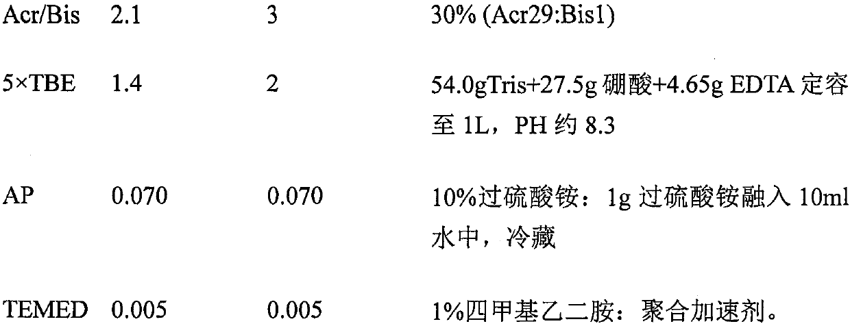 Preparation method and application of a genetic marker for high intramuscular fat content in Baicheng chicken leg muscle