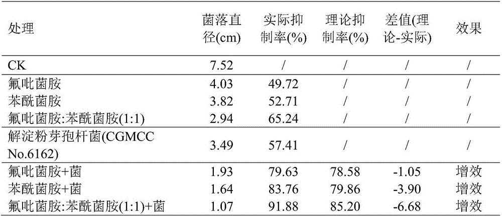 Bactericide composition containing chemical bactericides and biocontrol bacterium, preparation and application of bactericide composition or preparation
