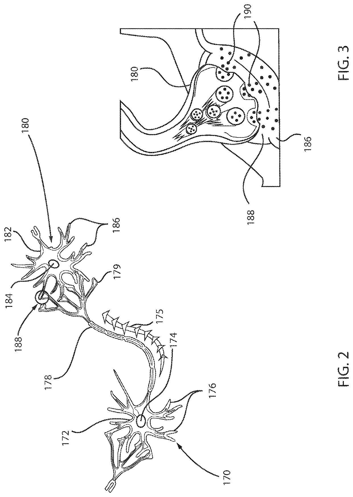 Digitial stdp synapse and lif neuron-based neuromorphic system