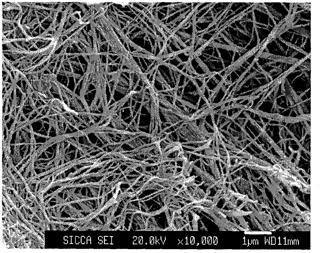 Method for preparing re-cellularized biological valve material