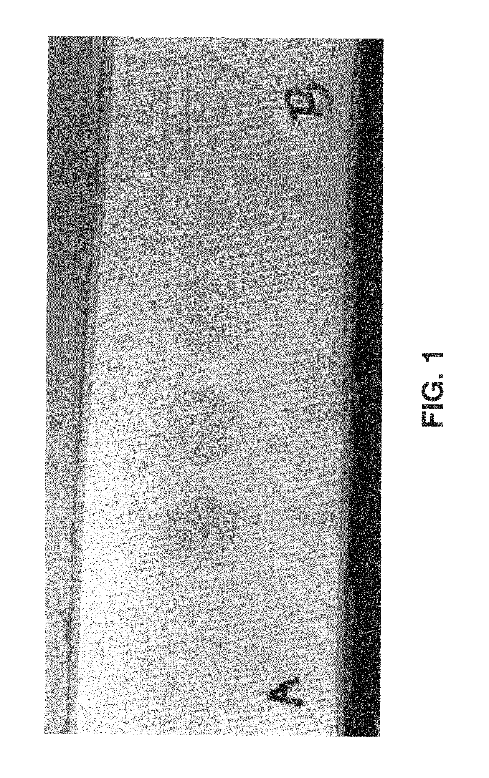 Controlling wood staining and color during post-harvest processing