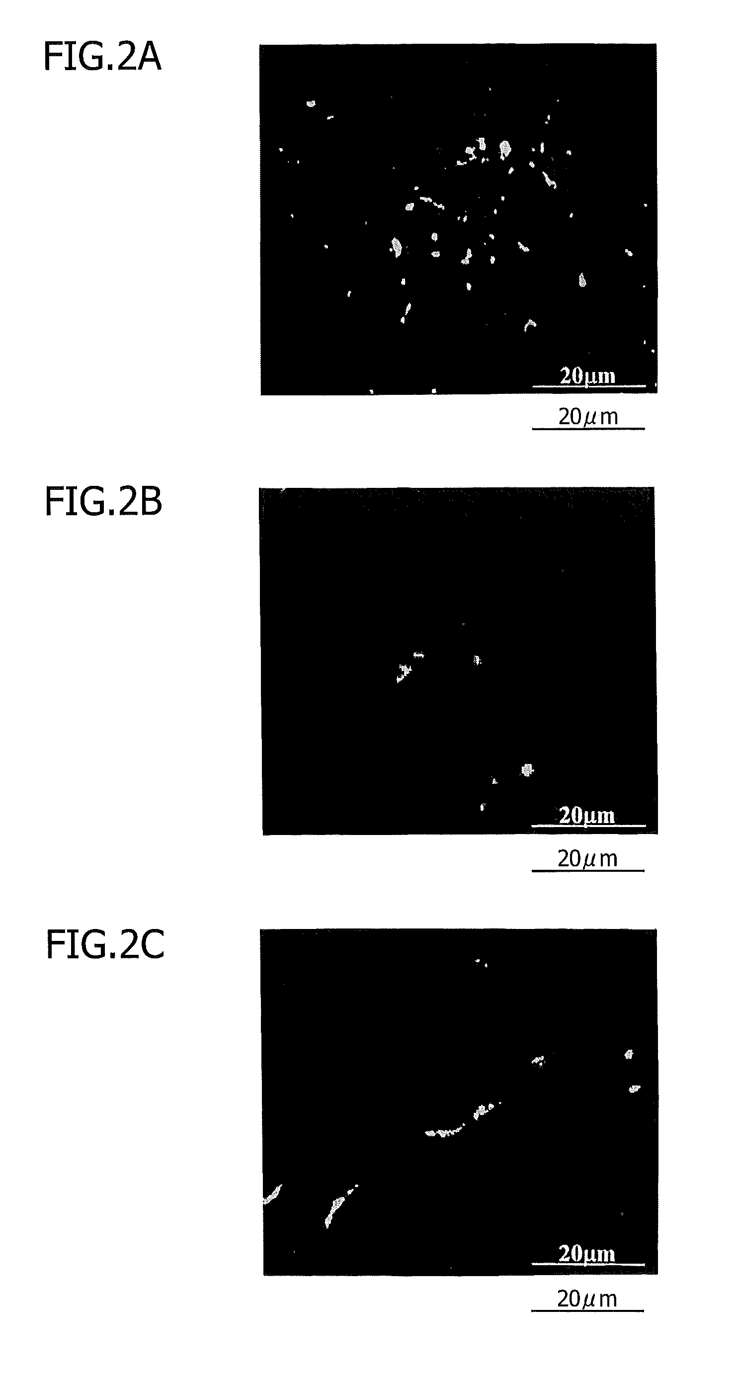Material for treatment of cerebral infarction and brain tissue regeneration method