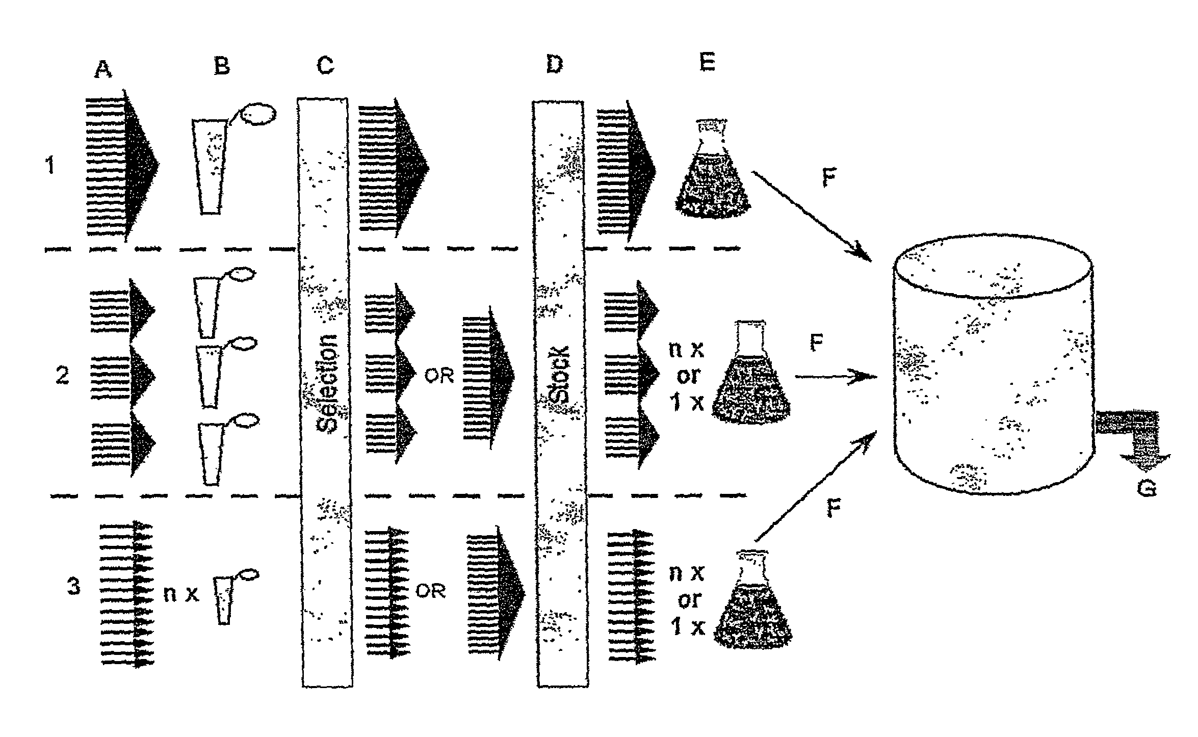 Method for manufacturing recombinant polyclonal proteins