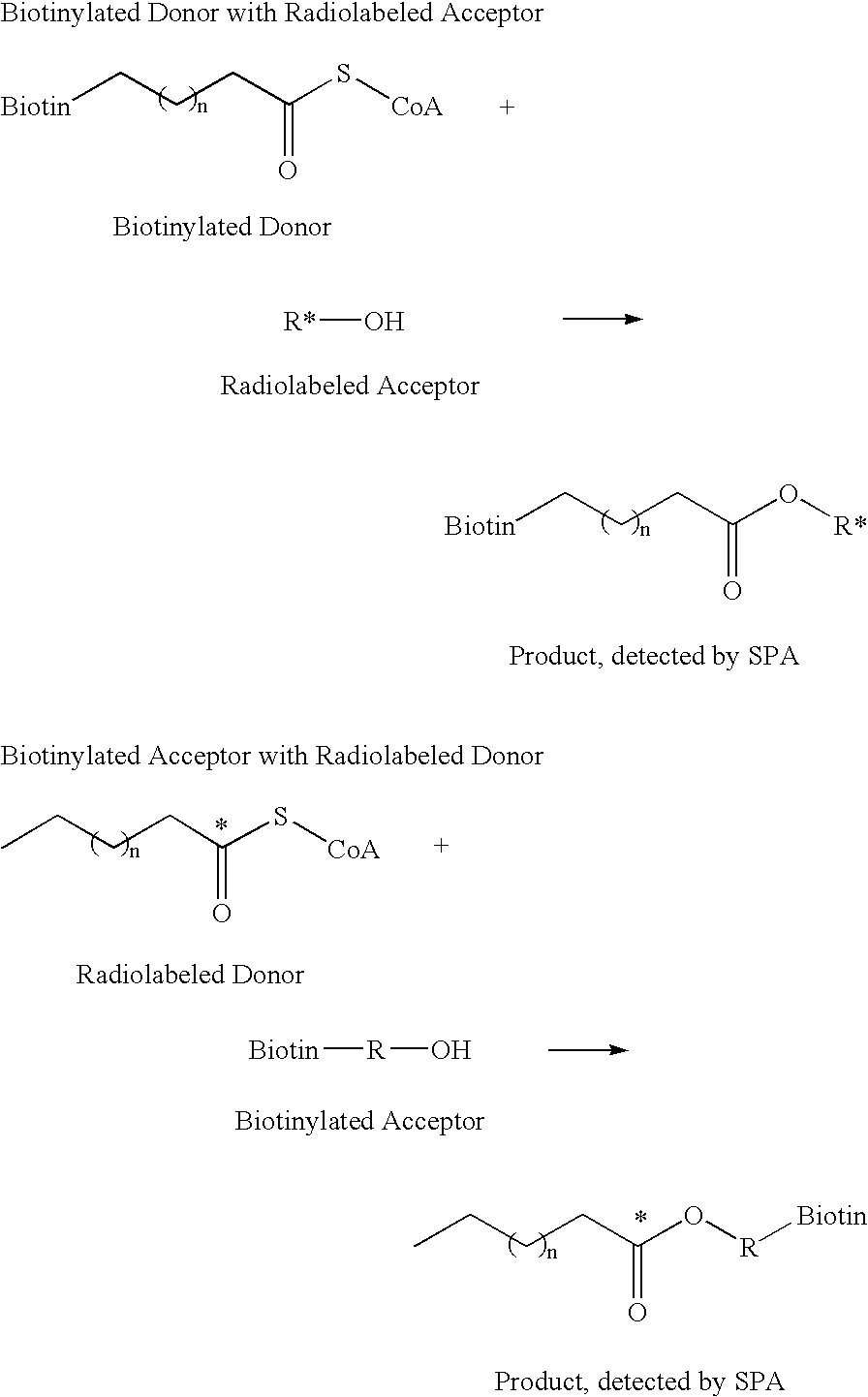 Human diacylglycerol acyltransferase 2 (DGAT2) family members and uses therefor