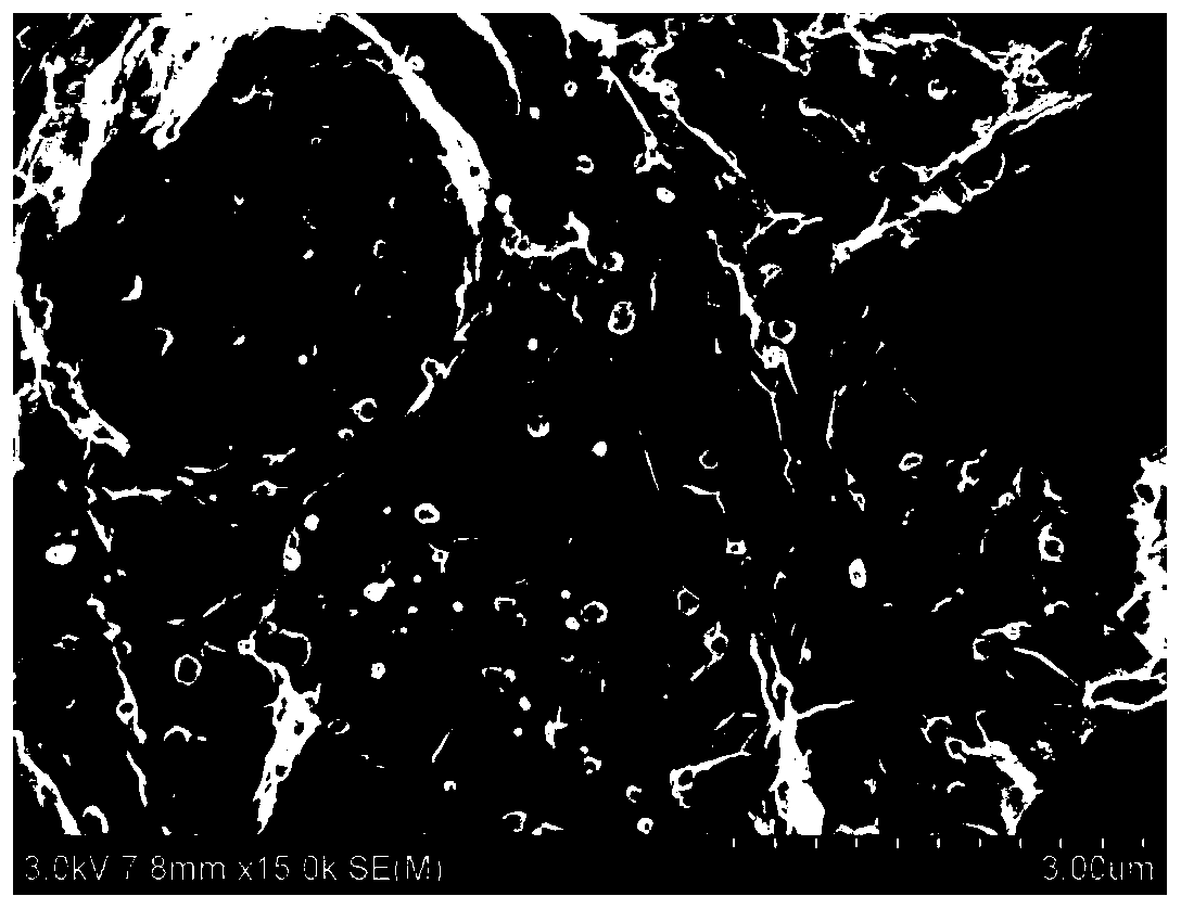 A kind of composite material and preparation method of nitrogen-doped three-dimensional graphene loaded nano-silver