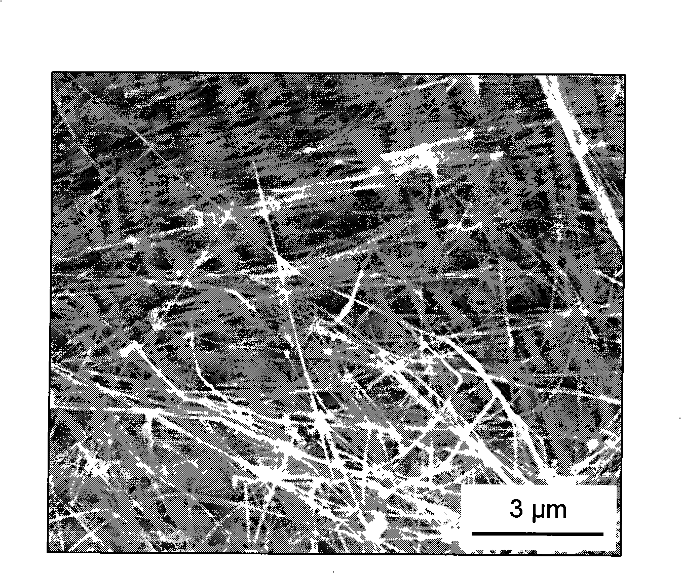 Method for preparing boron nitride nanotube by magnesium reduction