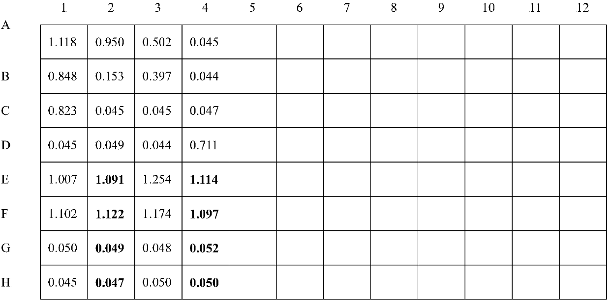 Indirect ELISA kit for detecting various animal erysipelothrix rhusiopathiae antibody, preparation method, and application of indirect ELISA kit