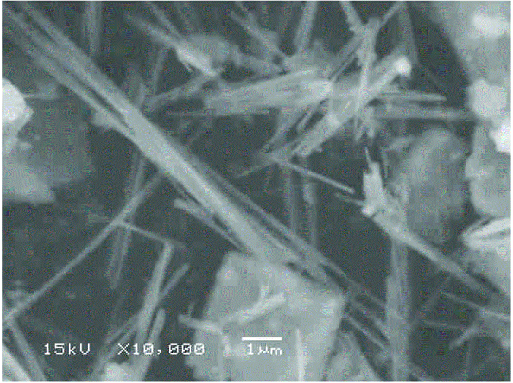 Method for recleaning vanadium-titanium magnetite concentrate through forging, oxidative alkaline leaching and de-sliming