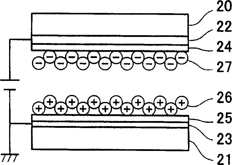 Display device and mfg. method for particles used in image display