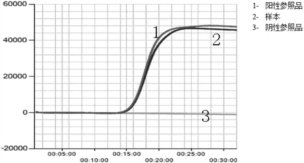 Loop-mediated isothermal amplification primer group for detecting citrus yellow shoots and kit