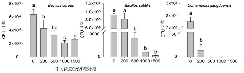 A screening method for heavy metal-resistant microorganisms