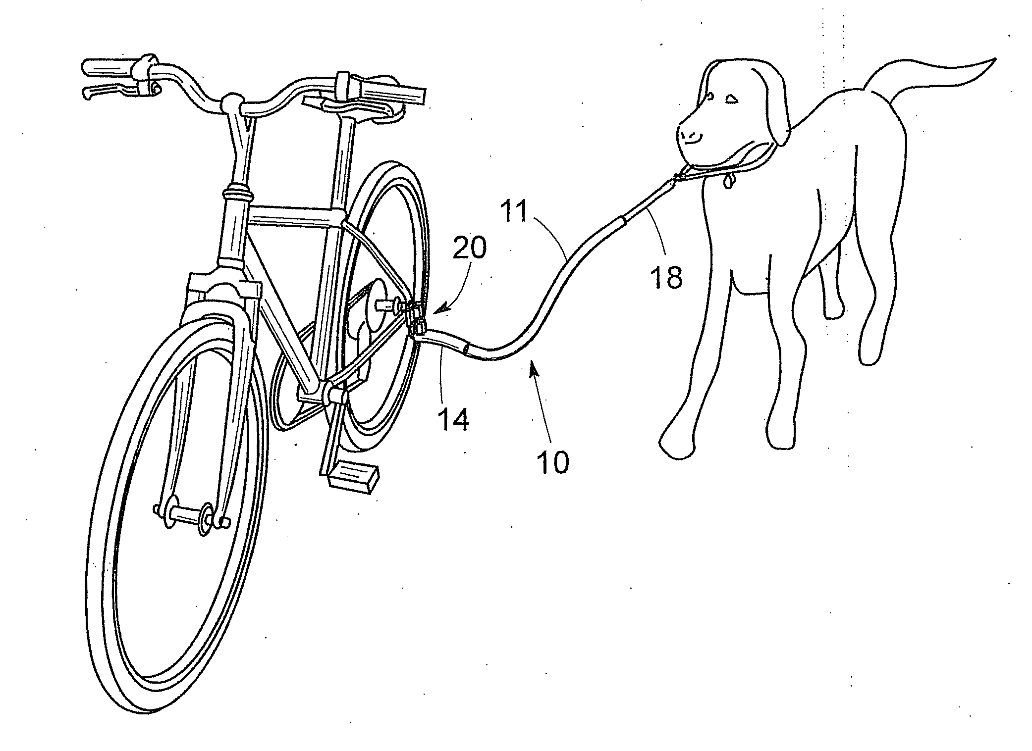 Personal carrier-mounted dog leash with distal stiffener