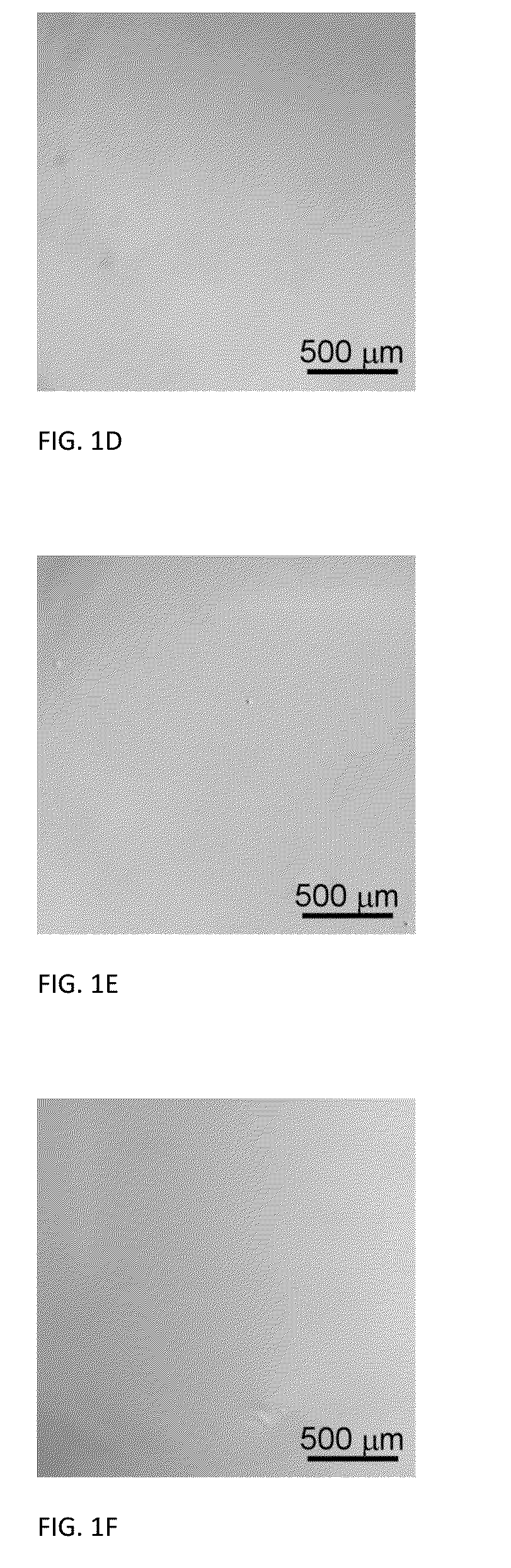Method of preventing carbohydrate crystallization