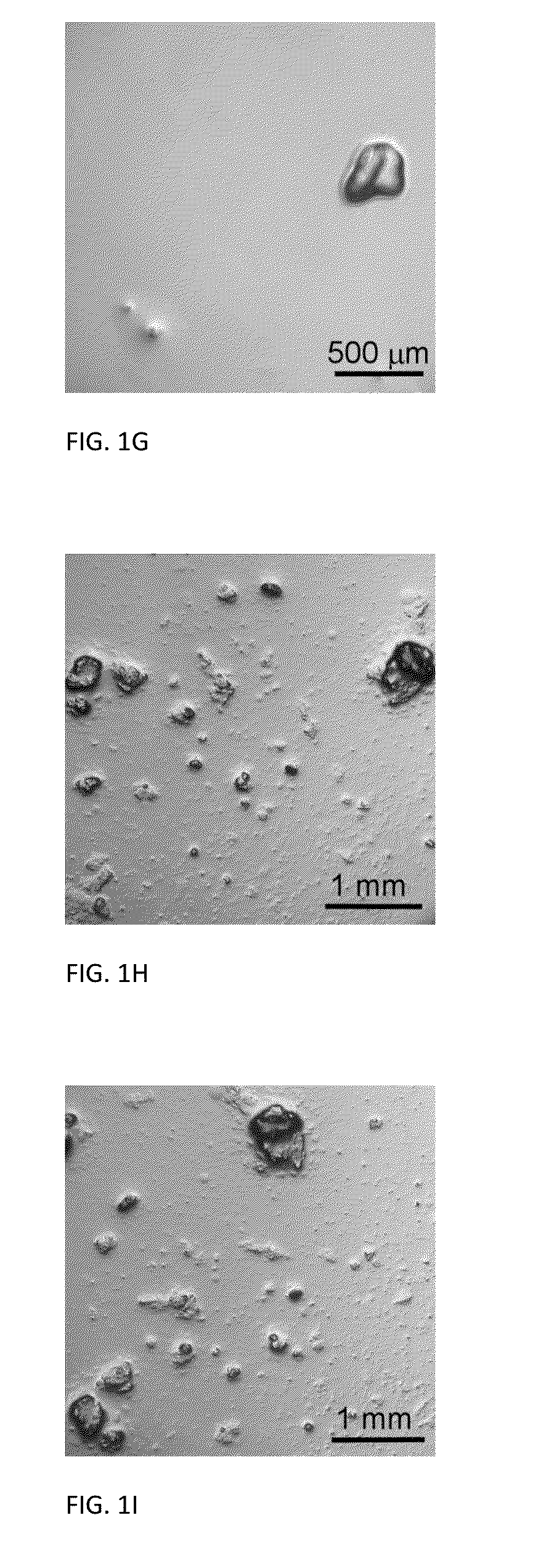 Method of preventing carbohydrate crystallization