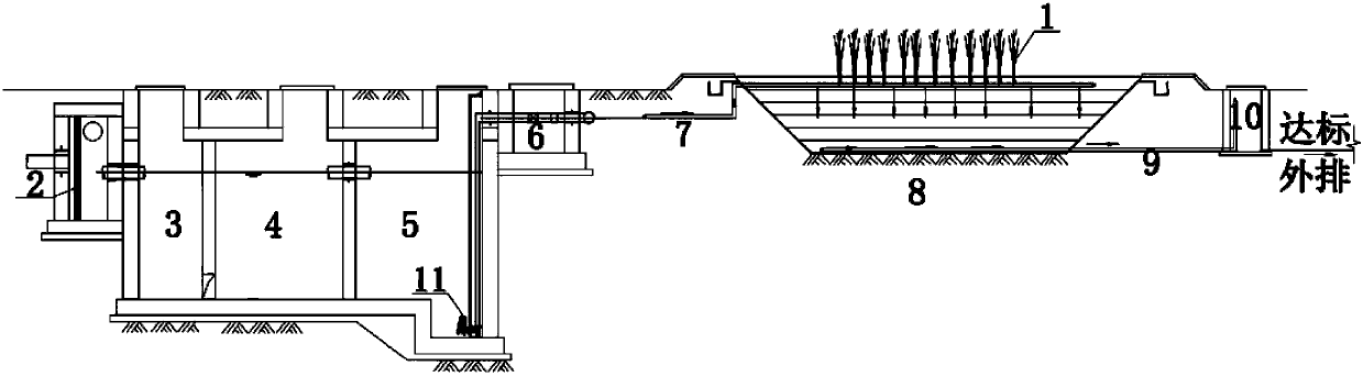 Functional accurate wetland system