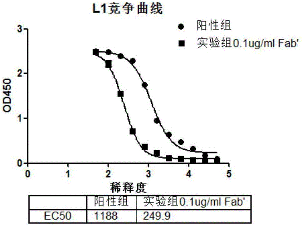 Preparation method of HPV (human papilloma virus)-specific antibody and freeze-dried preparation of HPV-specific antibody