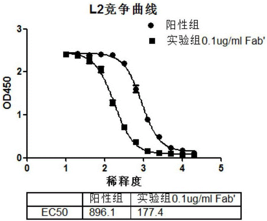 Preparation method of HPV (human papilloma virus)-specific antibody and freeze-dried preparation of HPV-specific antibody