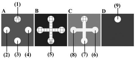 A paper-based high-throughput photoelectrochemical biosensor construction method