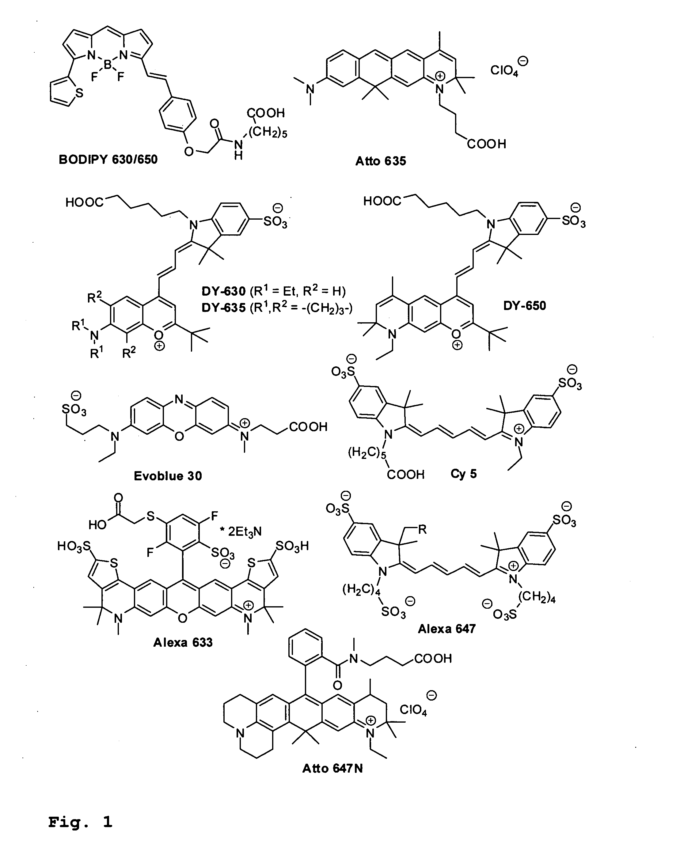 Novel hydrophilic and lipophilic rhodamines for labelling and imaging