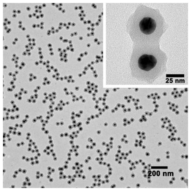 Glutathione stimulation-induced aggregation type composite gold nanoparticles and preparation thereof