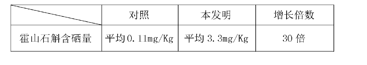 Method for producing selenium-rich dendrobium huoshanense by utilizing organic selenium biological agent