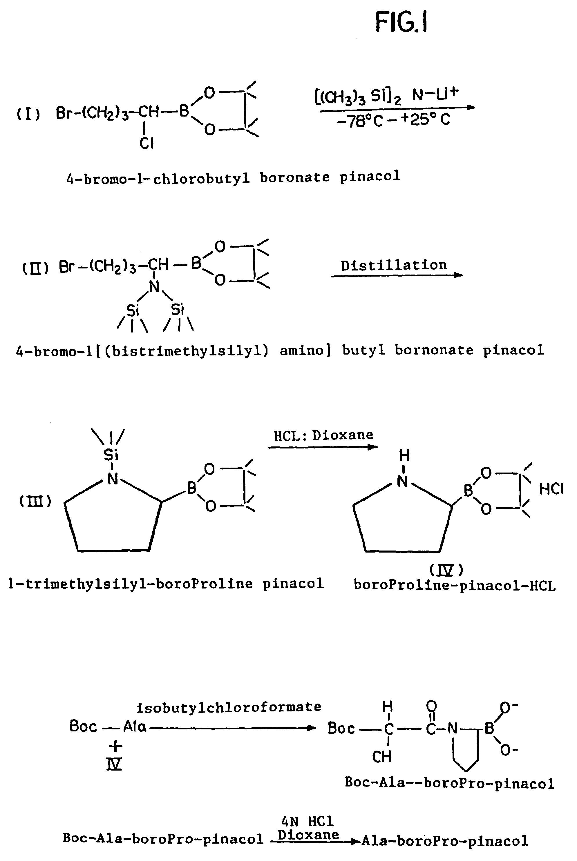 Inhibitors of dipeptidyl-aminopeptidase type IV
