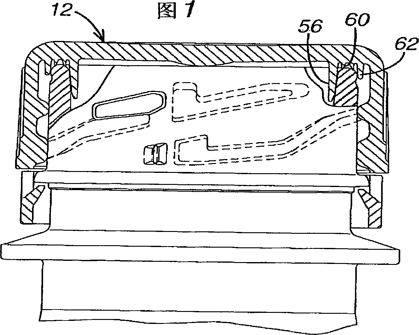 Bottle and closure assembly with locking elements