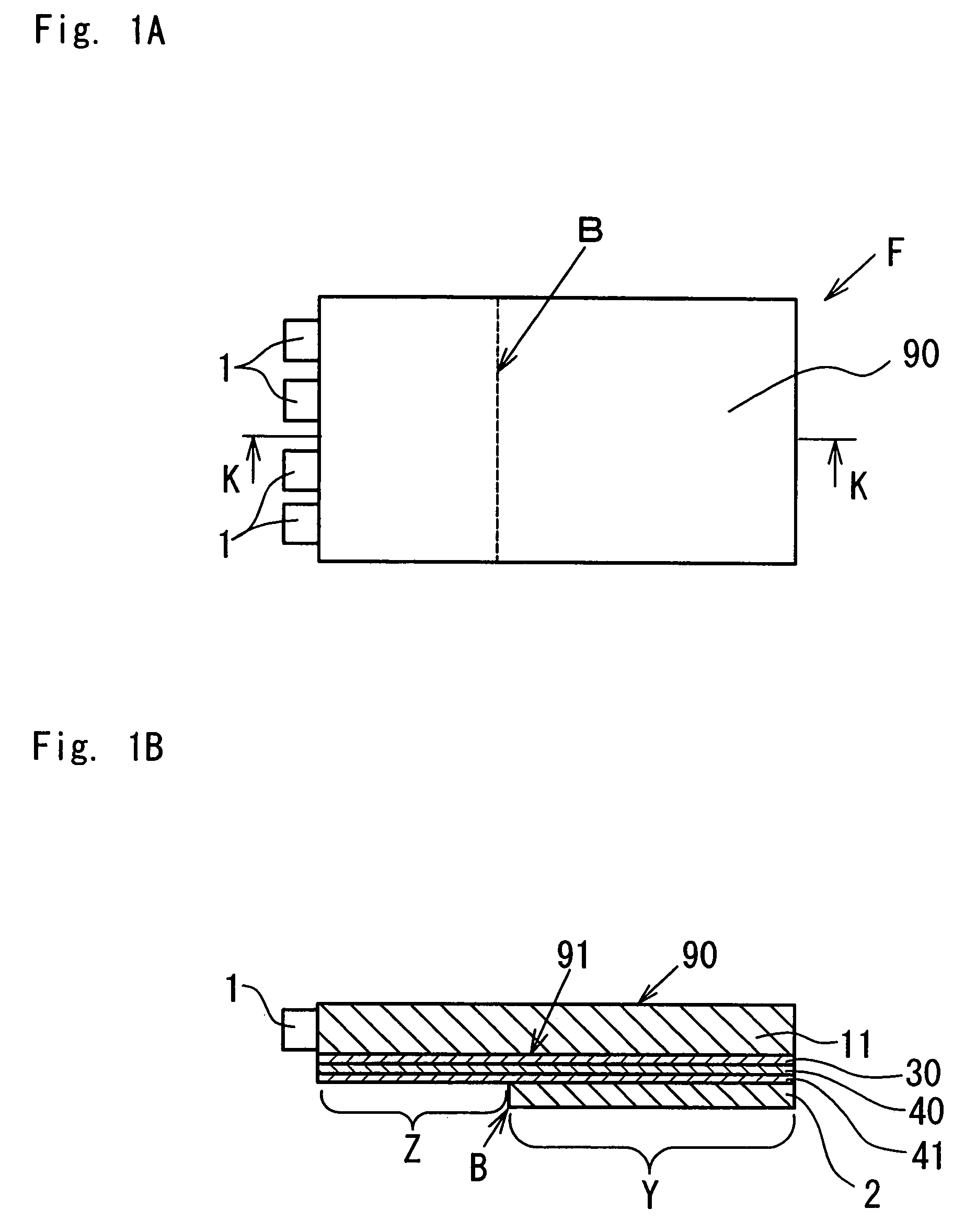 Spread illuminating apparatus adapted to allow light to exit out from both surfaces of light conductive plate