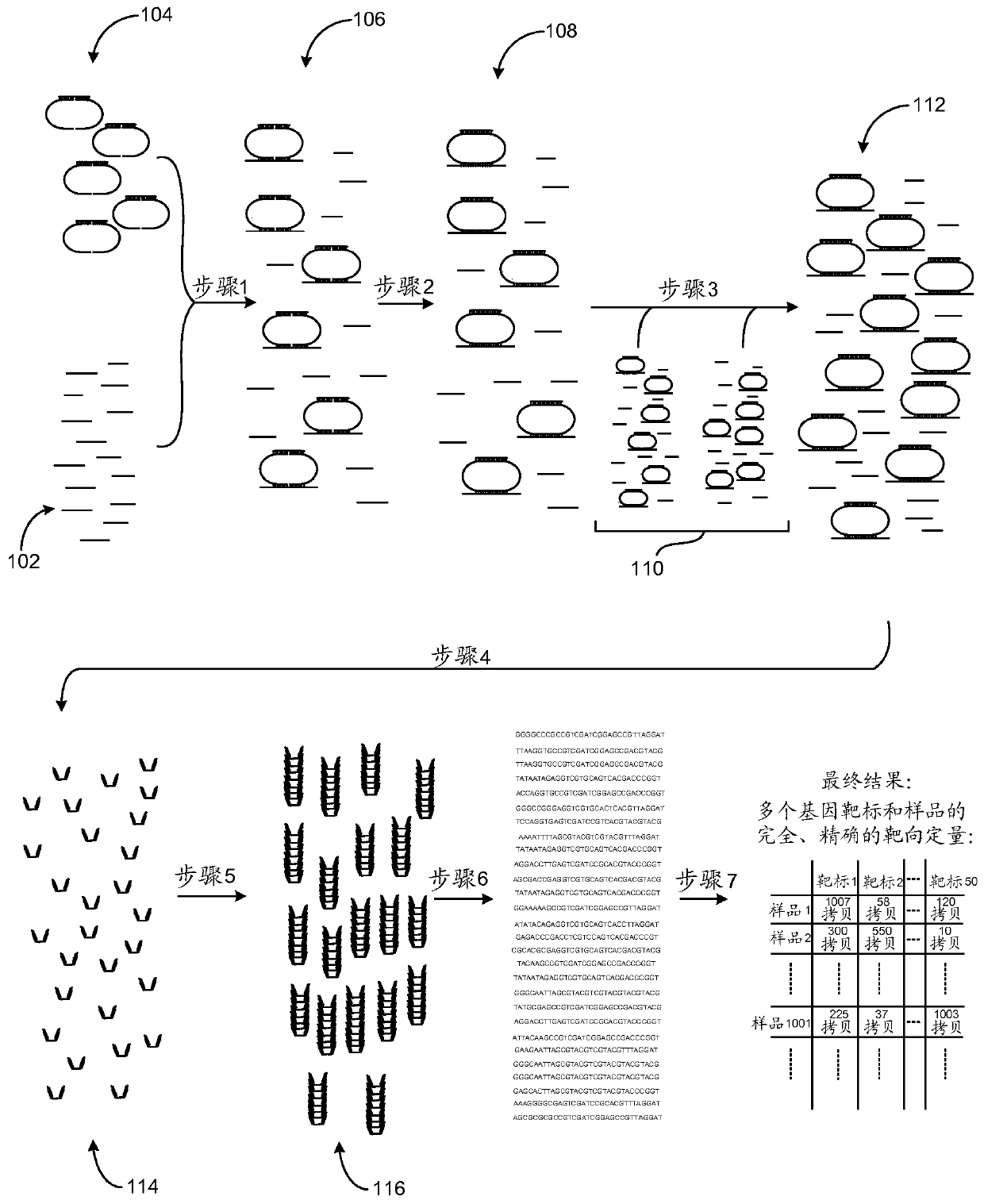 Accurate and massively parallel quantification of nucleic acid