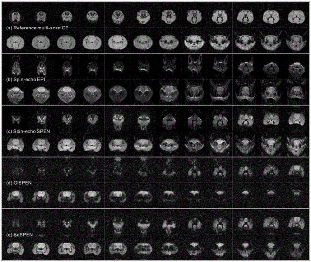 Multilayer super-rapid magnetic resonance imaging method based on segmental excitation space-time coding