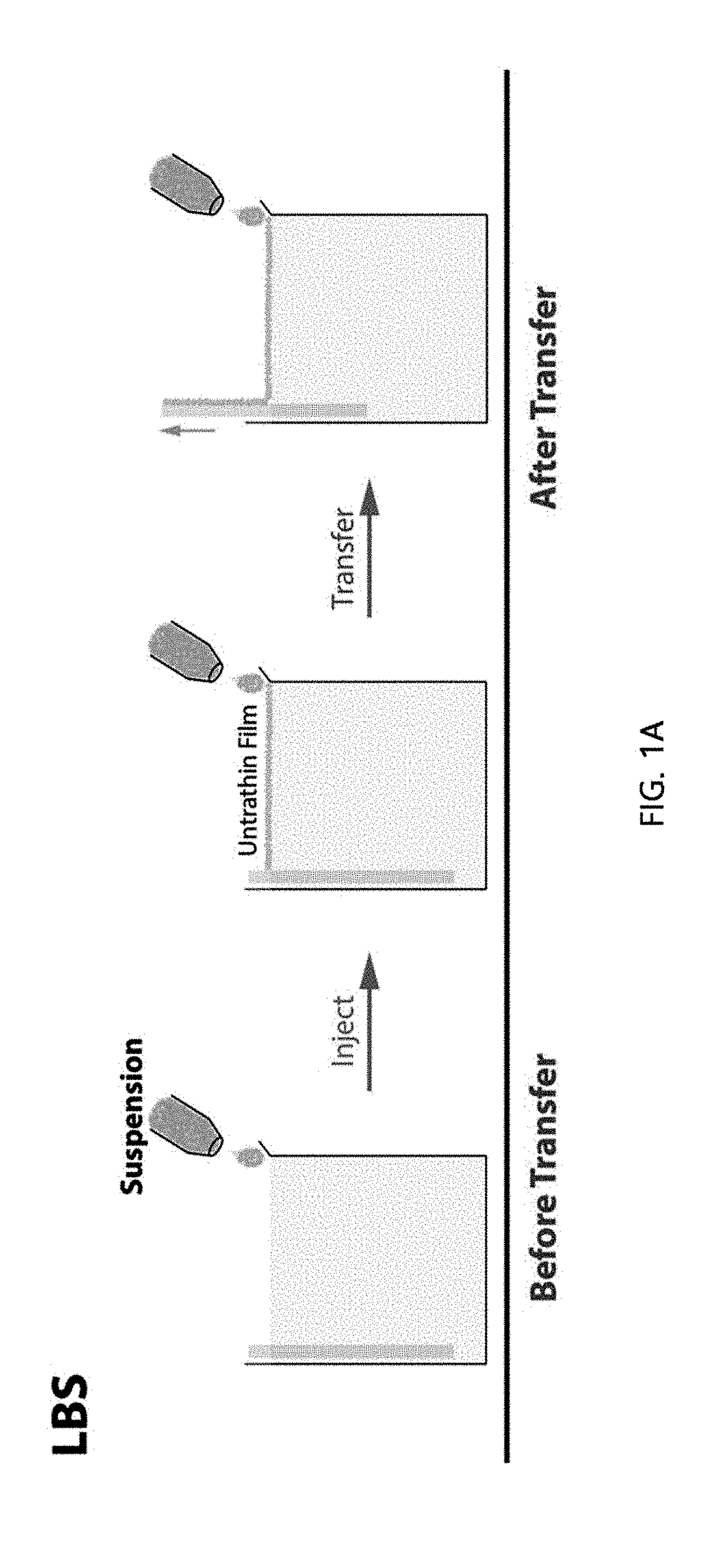 Lithium metal anode comprising langmuir-blodgett films as an artificial solid electrolyte interface layer, lithium metal battery comprising the same, and preparation method thereof