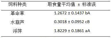 Vegetable crop for efficiently trapping ampullaria gigas