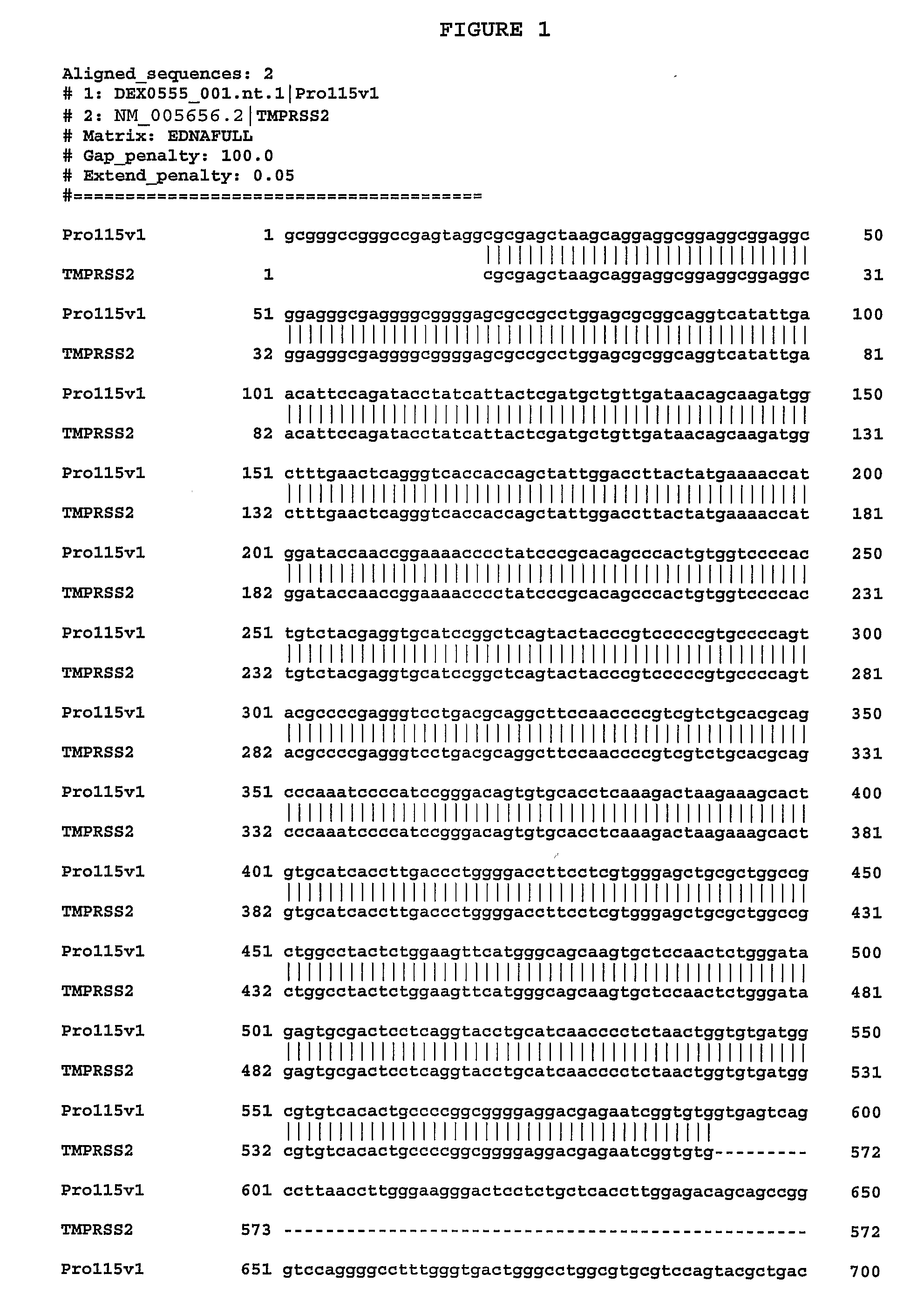 Compositions, Splice Variants and Methods Relating to Cancer Specific Genes and Proteins