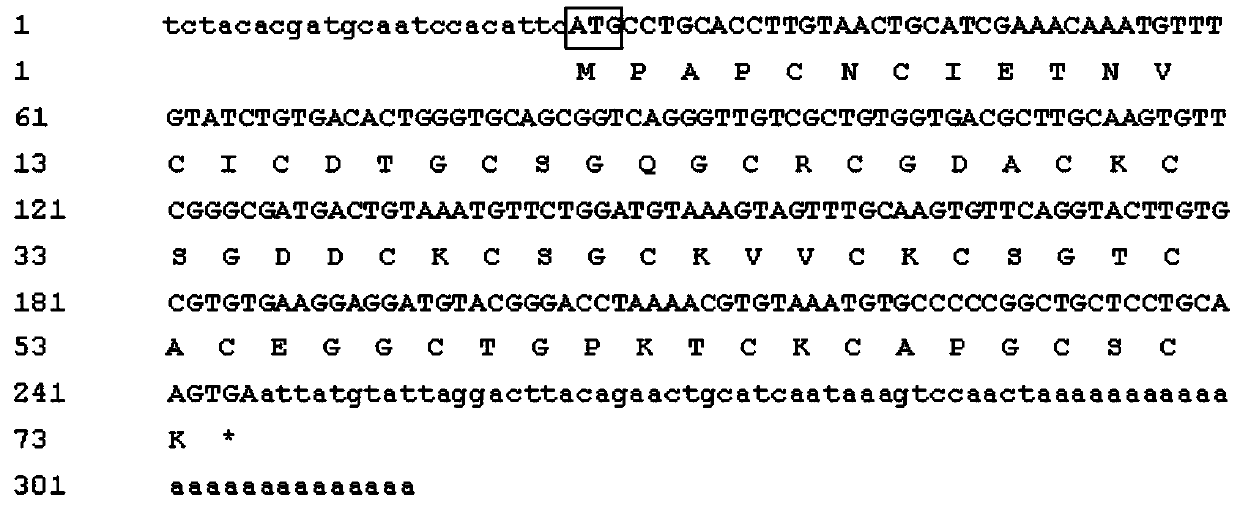 Application of thick shell mussel metallothionein gene in ocean heavy metal pollution monitoring