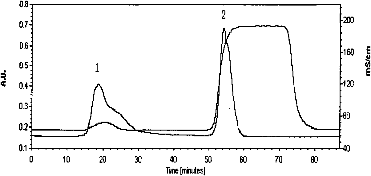 Kringle 5 gene-containing engineered bacterium fermentation process and kringle 5 protein purification process