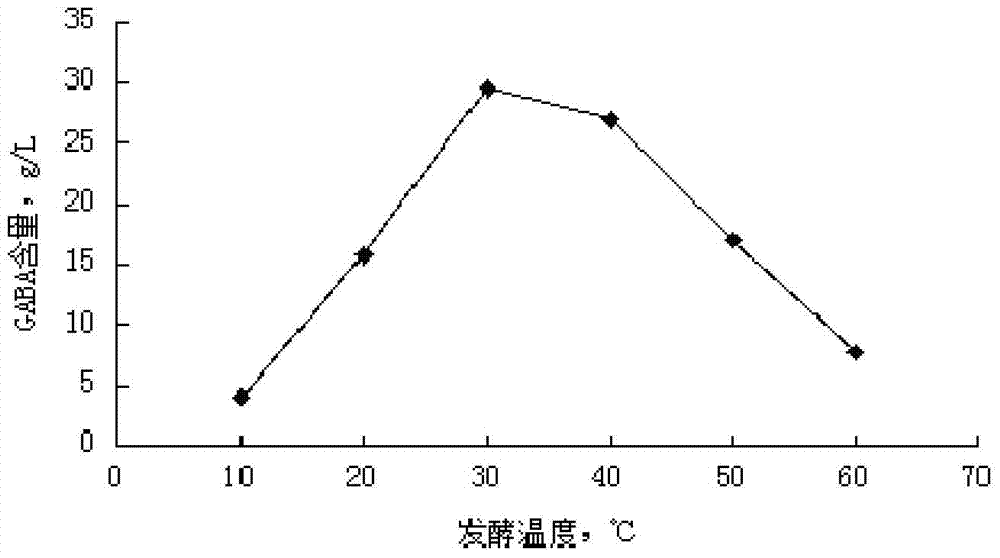 Method for preparing γ-aminobutyric acid by fermentation of compound strains