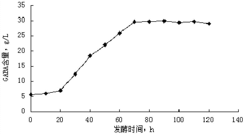 Method for preparing γ-aminobutyric acid by fermentation of compound strains