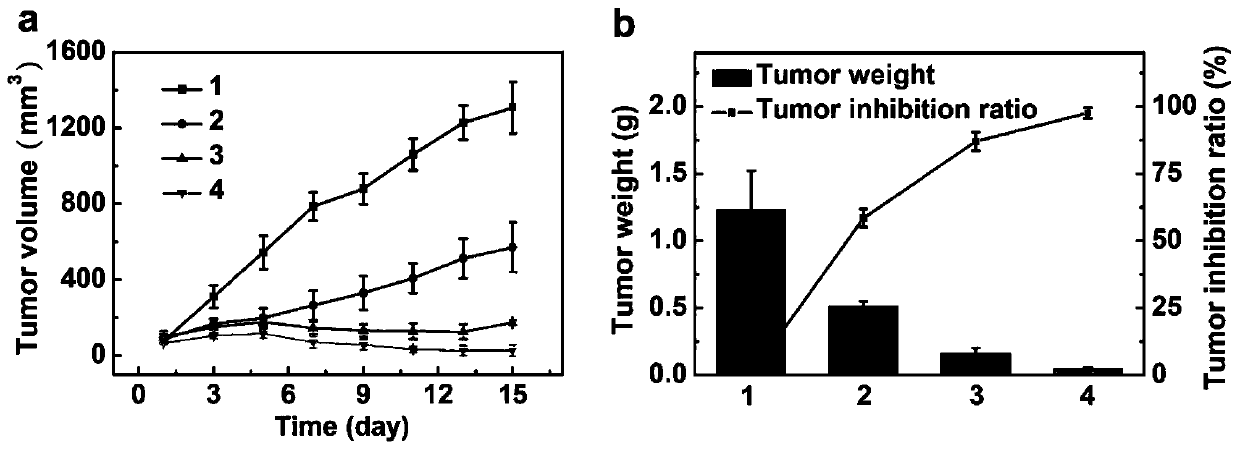 Nanometer drug administration system based on metal organic framework, and preparation method and application of nanometer drug administration system