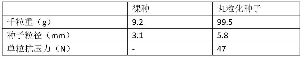 Pelletized sparirpus mariqueter seeds suitable for direct seeding on mud flat and pelletizing method of pelletized scirpus mariqueter seeds