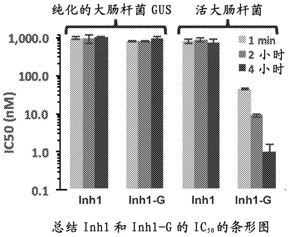 Compounds, compositions, and methods for selectively inhibiting beta-glucuronidases and alleviating side effects associated with drug treatment induced diarrhea