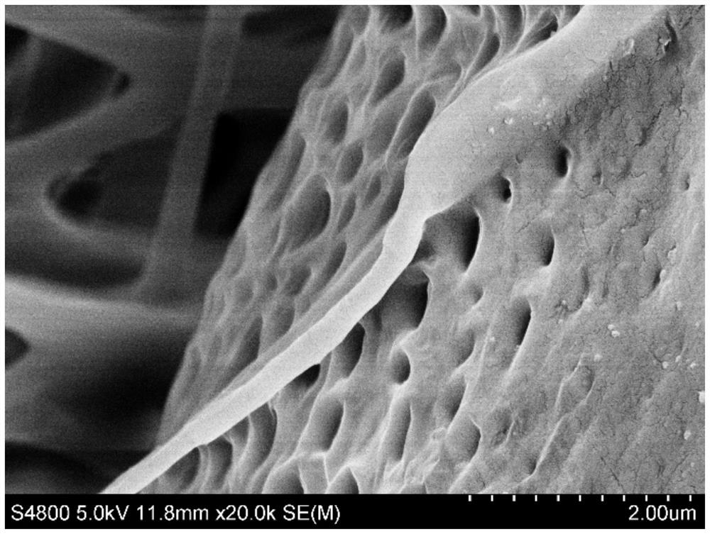 Surface modified polytetrafluoroethylene fiber membrane and preparation method thereof