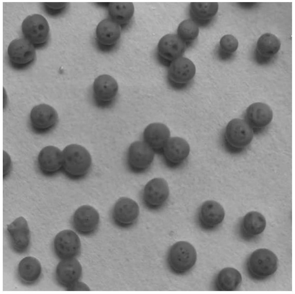 Preparation method of hierarchical porous carbon particles based on phase inversion