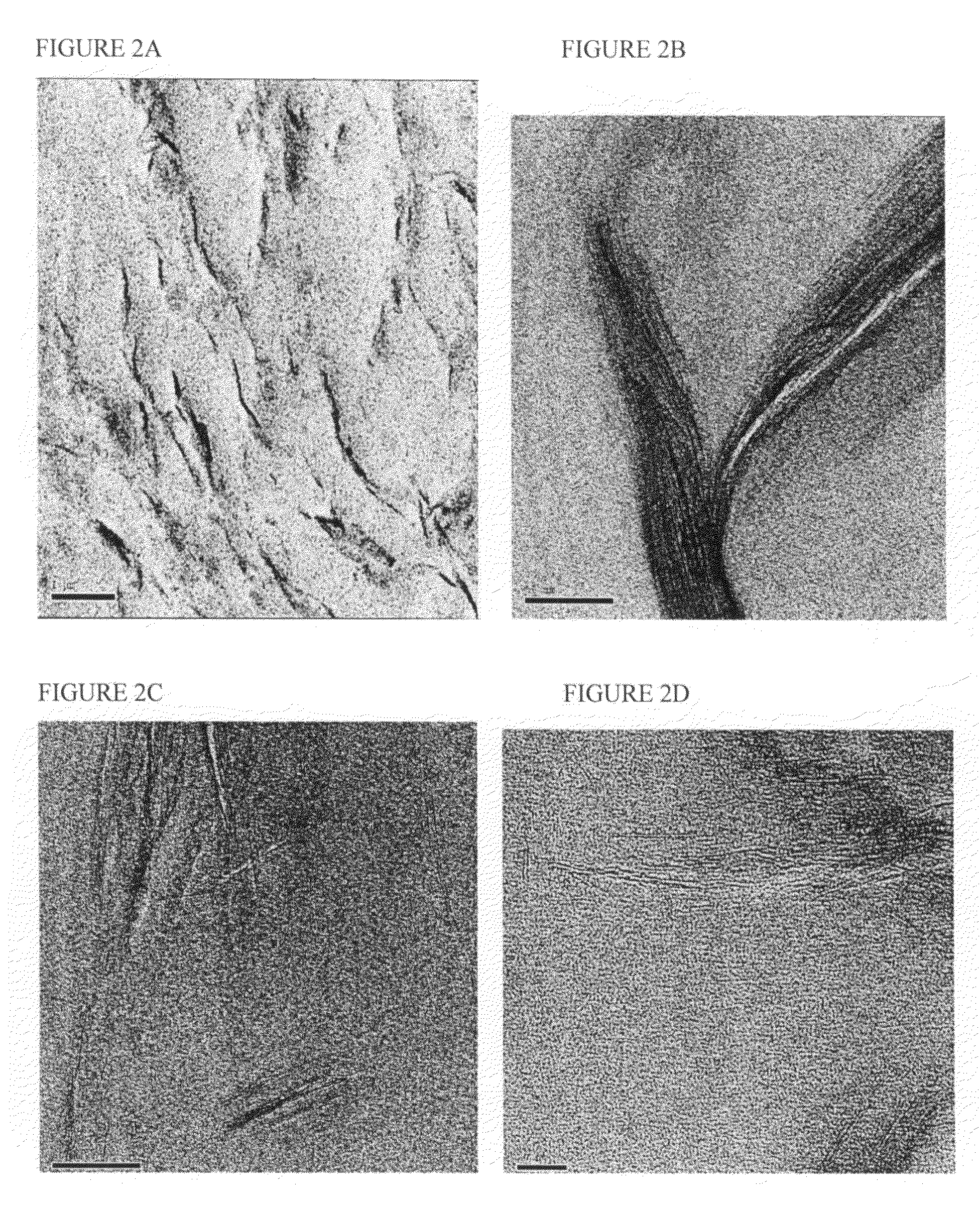 Thermoplastic elastomer compositions, methods for making the same, and articles made therefrom